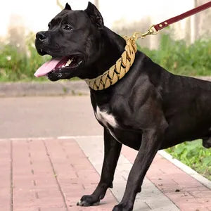 Premium Style Collars